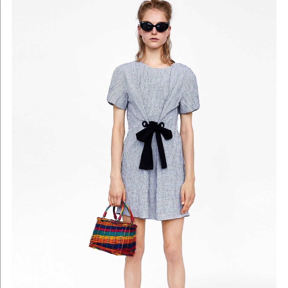 Zara Plaid Wrinkled Dress Bow Blogger Favorite